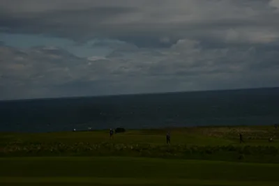 DSC_7254 (Large).JPG